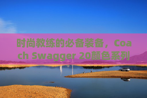 时尚教练的必备装备，Coach Swagger 20颜色系列