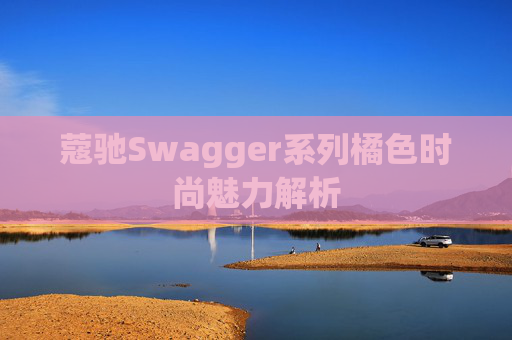 蔻驰Swagger系列橘色时尚魅力解析